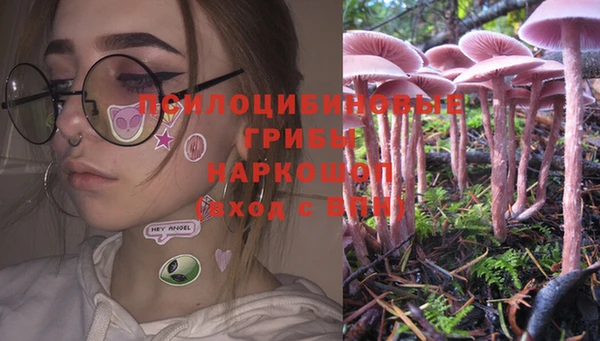 мяу мяу мука Покачи