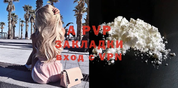 СК Пролетарск