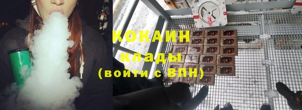 мдпв Протвино