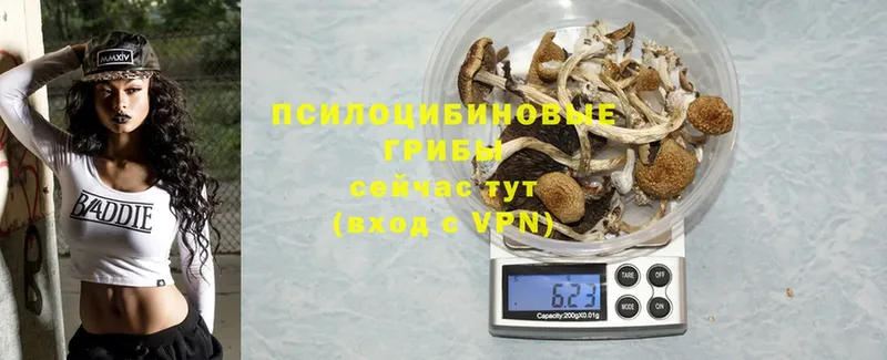 МЕГА   Углегорск  Псилоцибиновые грибы GOLDEN TEACHER 